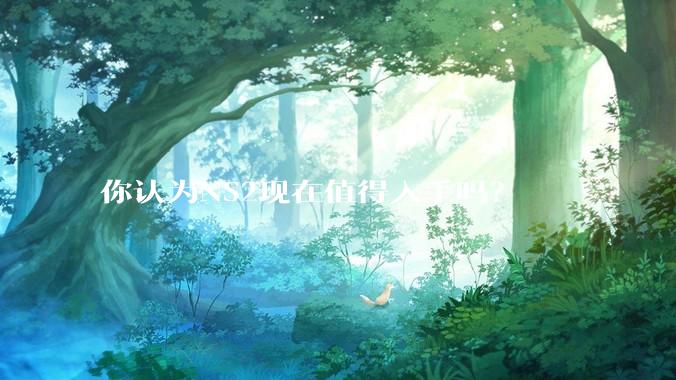 你认为NS2现在值得入手吗？