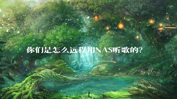 你们是怎么远程用NAS听歌的？