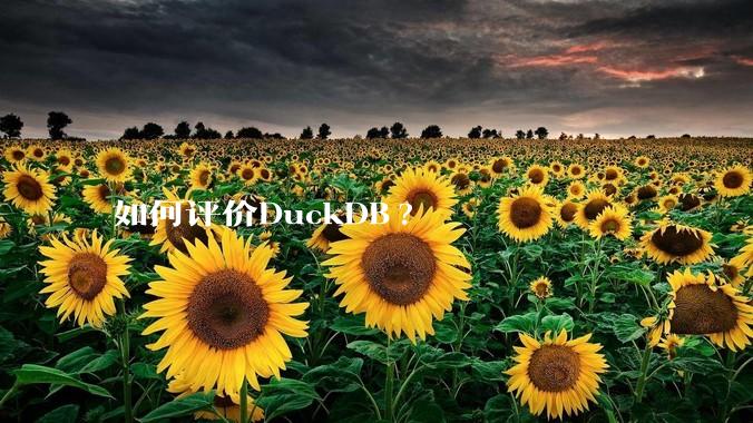 如何评价DuckDB?